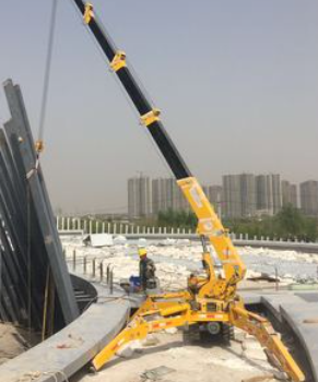 蜘蛛吊為什么那么小巧？